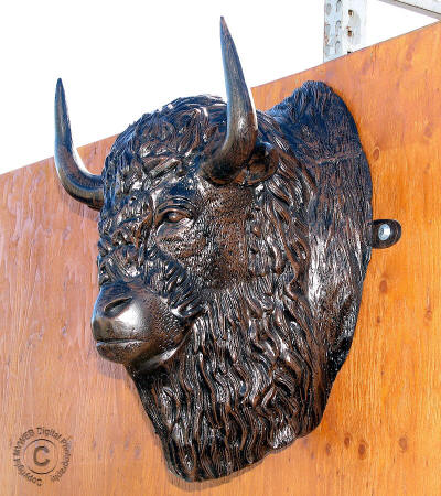 Buffalo Head Mount